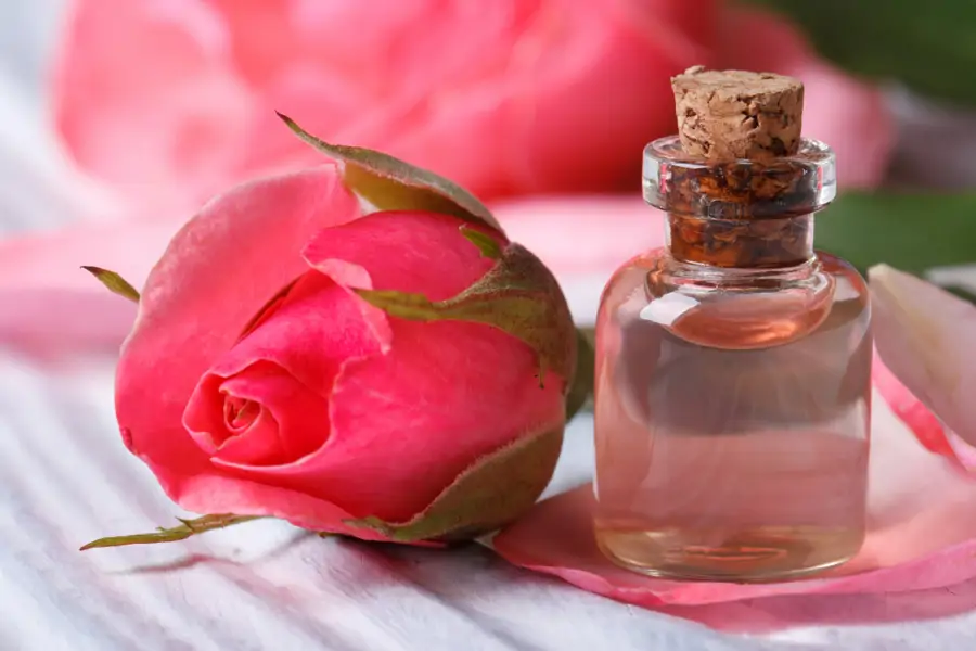 Aceite esencial rosa