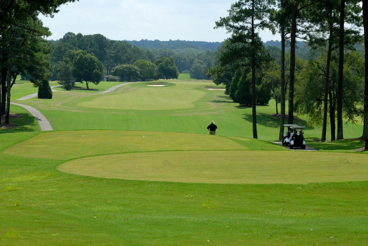 Los campos de golf son a veces considerados 'desiertos verdes' por su impacto sobre la biodiversidad