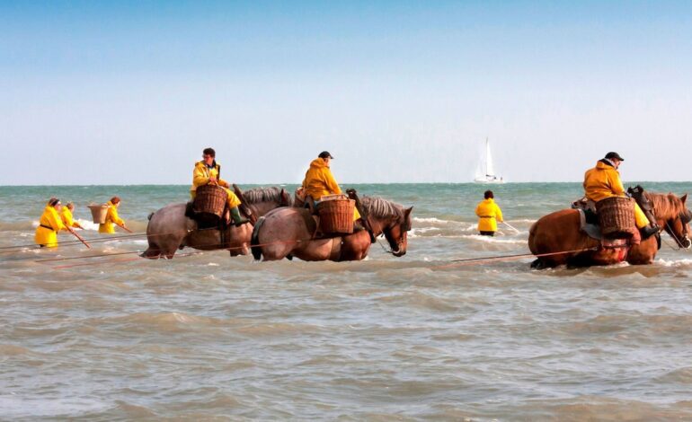 playas de ensueño, camarones y mucho arte en la costa de Flandes