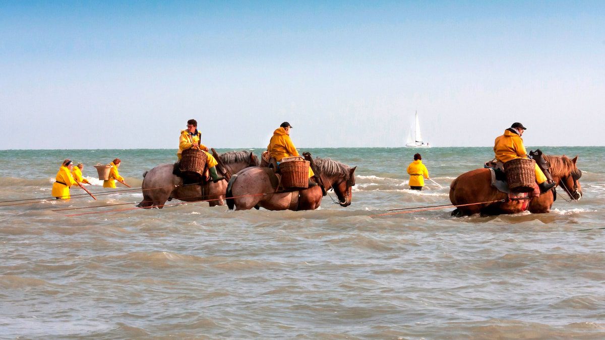 playas de ensueño, camarones y mucho arte en la costa de Flandes