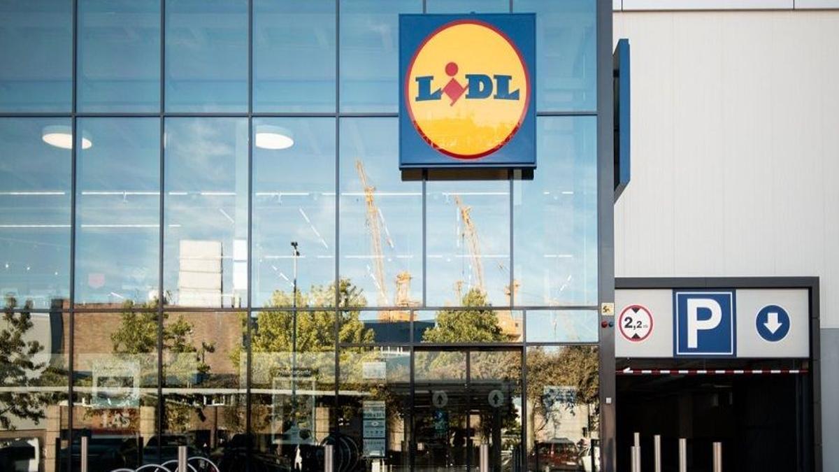 INVERNADERO LIDL | Cultiva tus propias plantas en casa gracias a este producto de Lidl