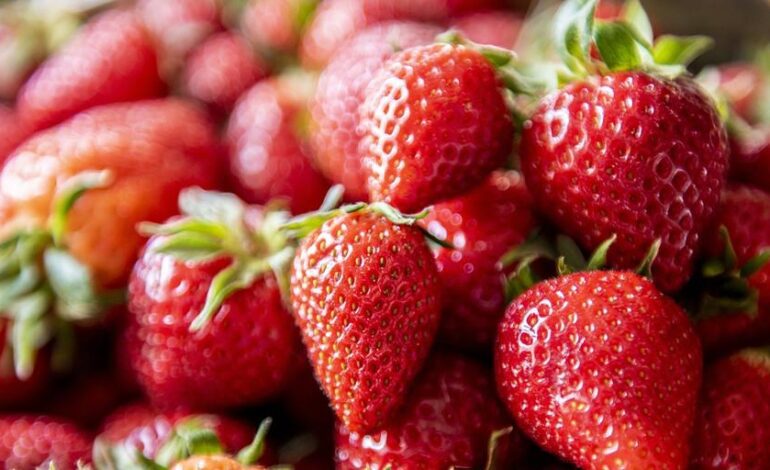 el truco para que las fresas aguanten frescas más tiempo en el frigorífico