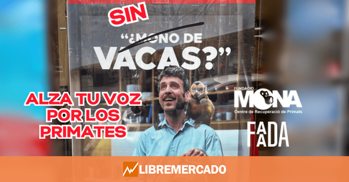 Los animalistas van a por Halcón Viajes por su «mono de vacas»