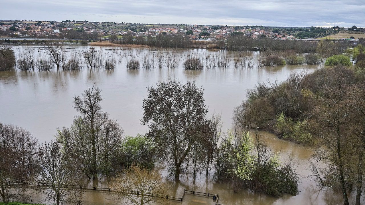 Seis municipios de Alberche (Toledo) reciben alertas móviles por riesgo de inundaciones