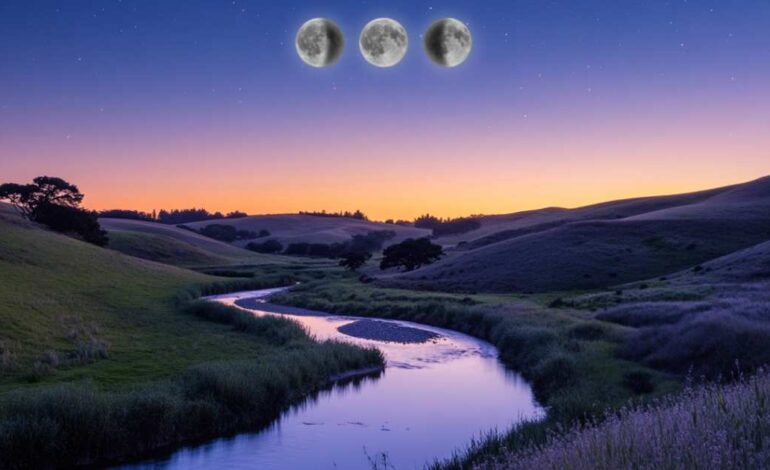 no te pierdas la Luna de gusano iluminando el cielo nocturno