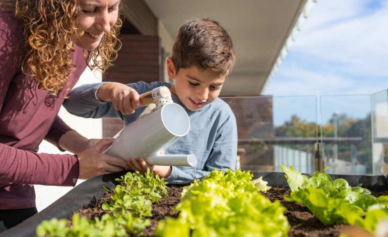 Lidl arrasa con esta mesa de huerto urbano a mitad de precio para cultivar de todo esta primavera