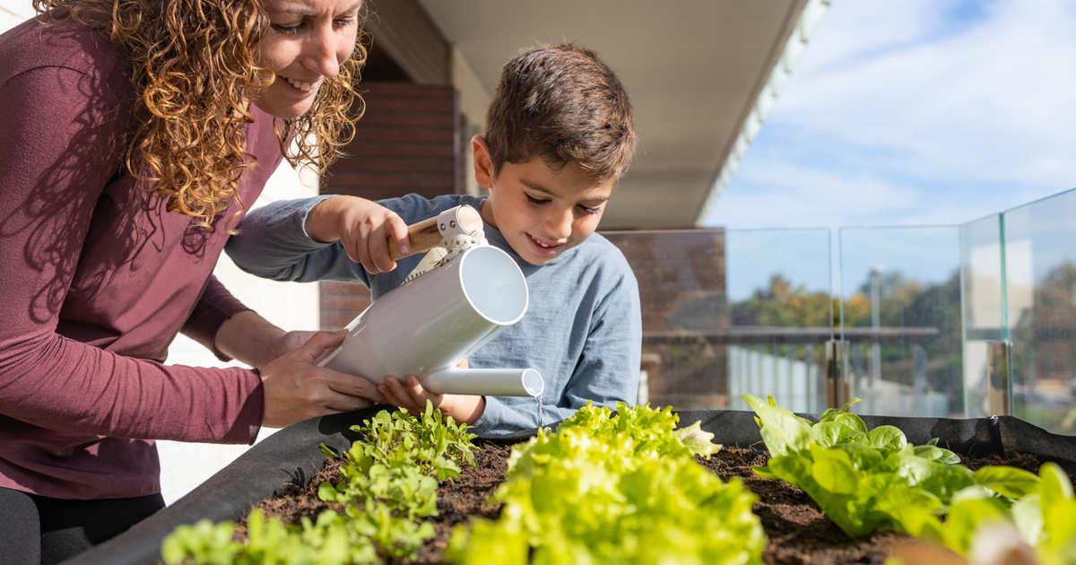 Lidl arrasa con esta mesa de huerto urbano a mitad de precio para cultivar de todo esta primavera