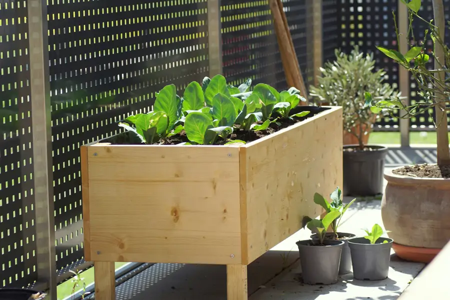 Mesa de jardín urbano