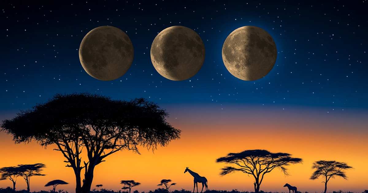 esta es la fase lunar de este martes 25 de marzo de 2025