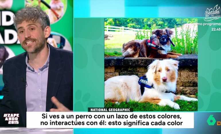 Víctor Algra explica qué significan los lazos de colores que llevan algunos perros