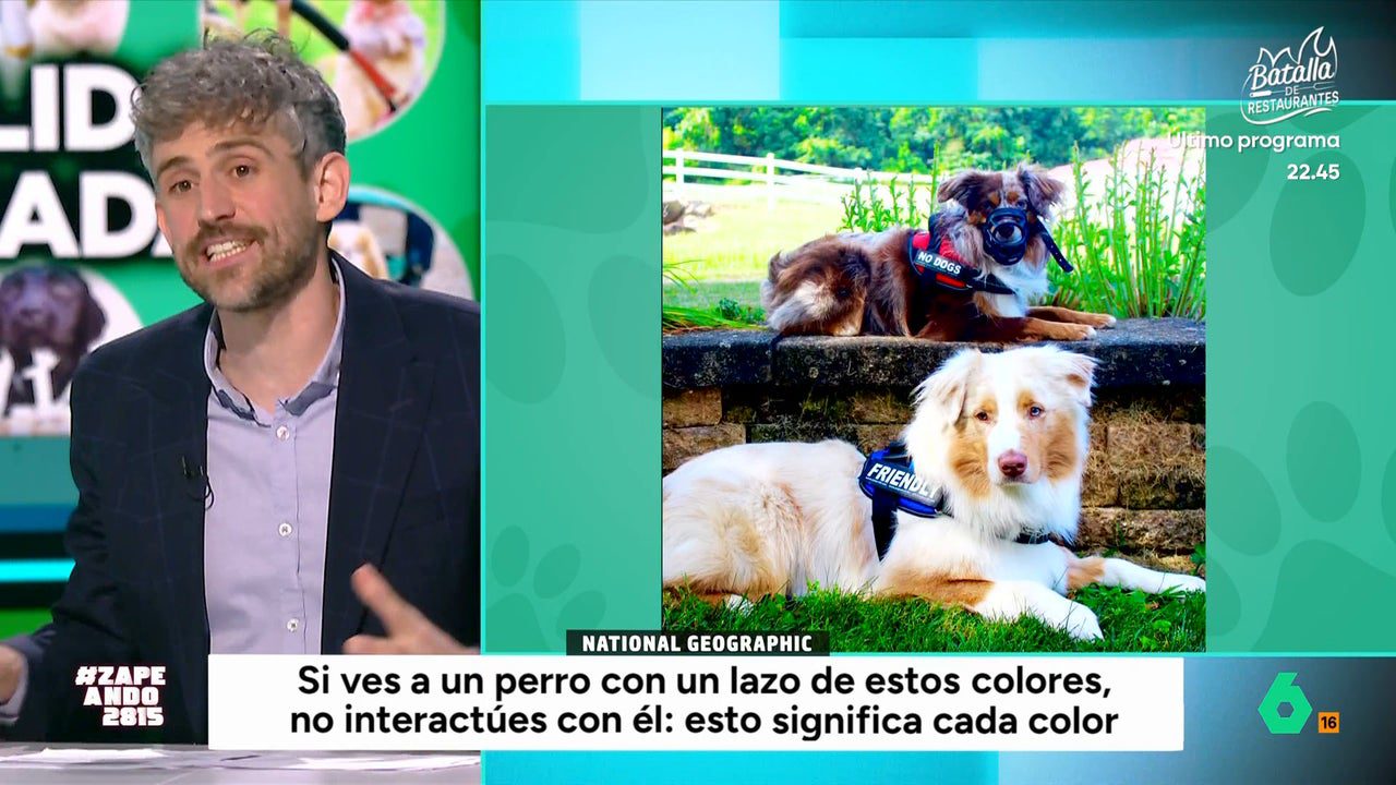 Víctor Algra explica qué significan los lazos de colores que llevan algunos perros