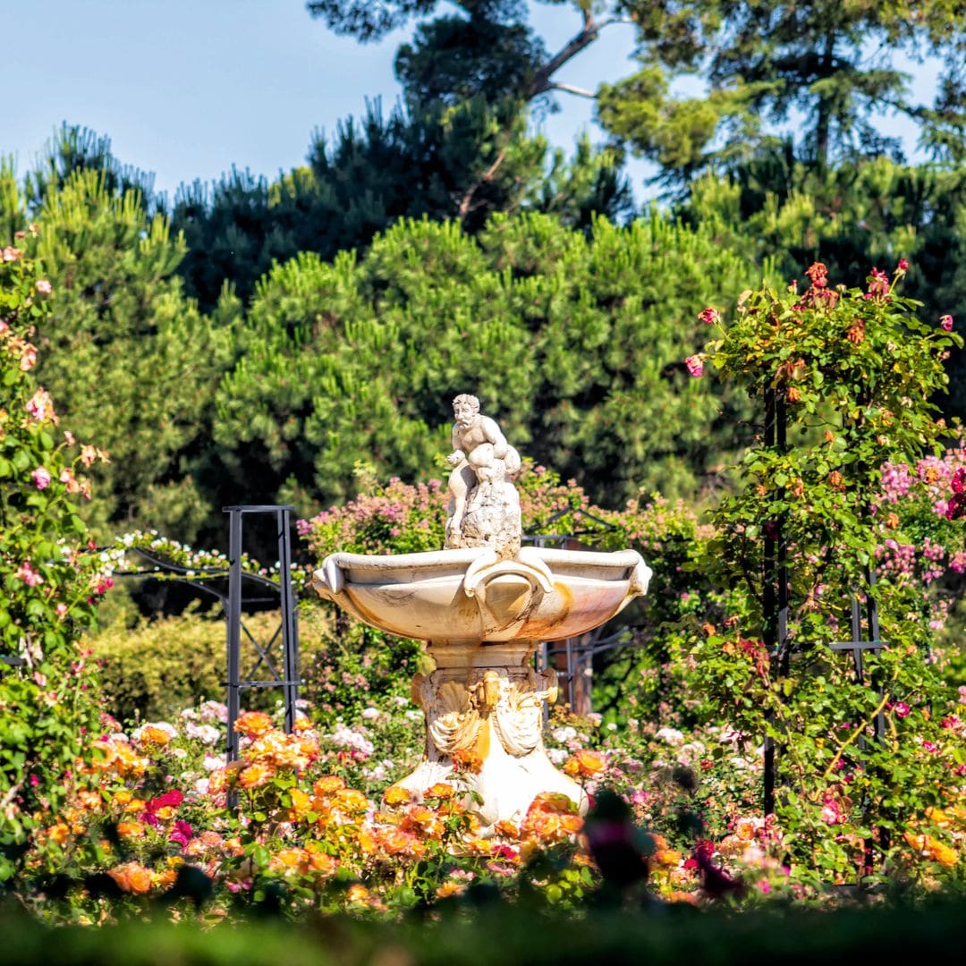 Rosaleda del Parque El Retiro en Madrid