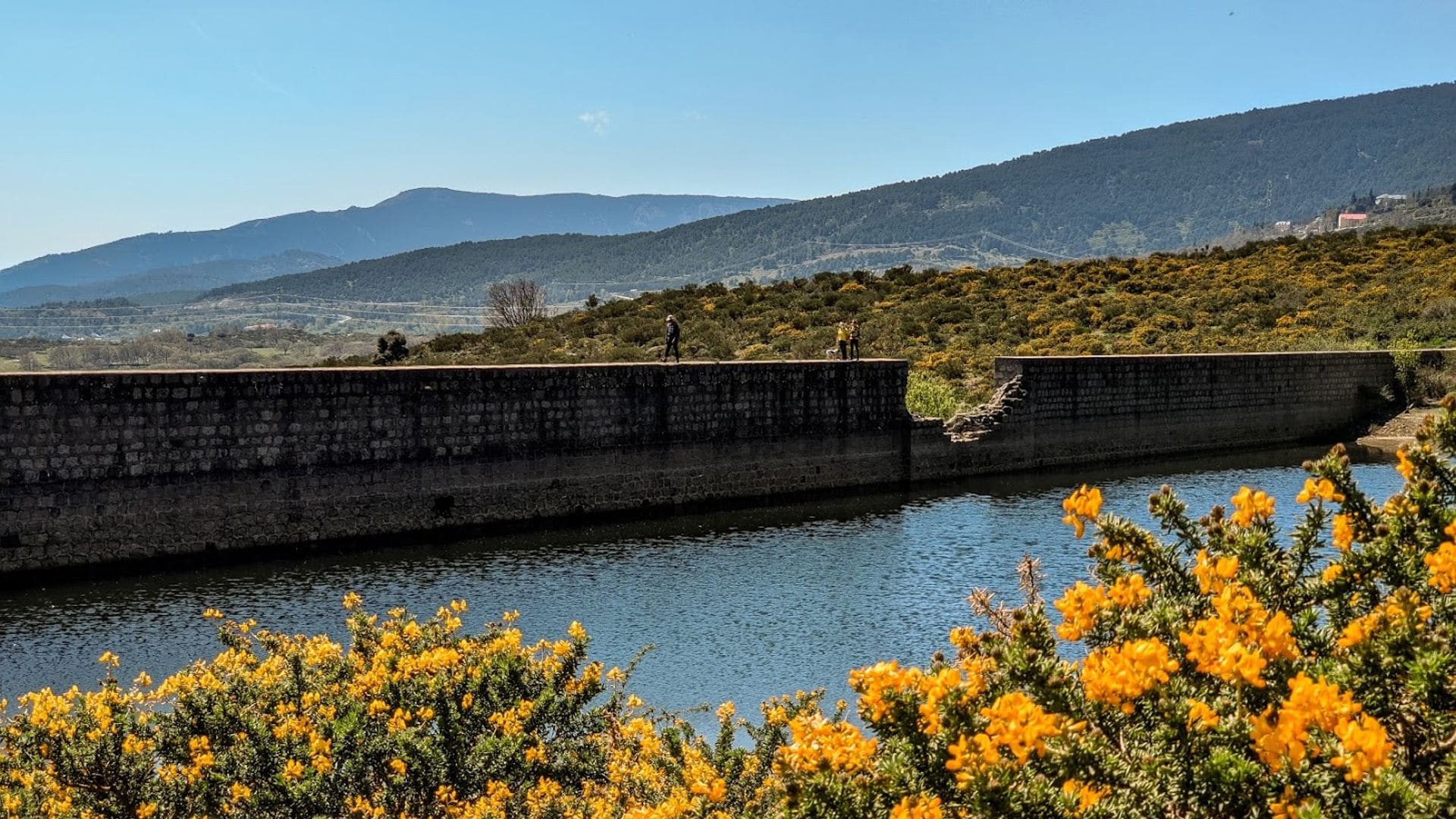 Cambroño Flowing Show en la Sierra de Guadarrama, Madrid