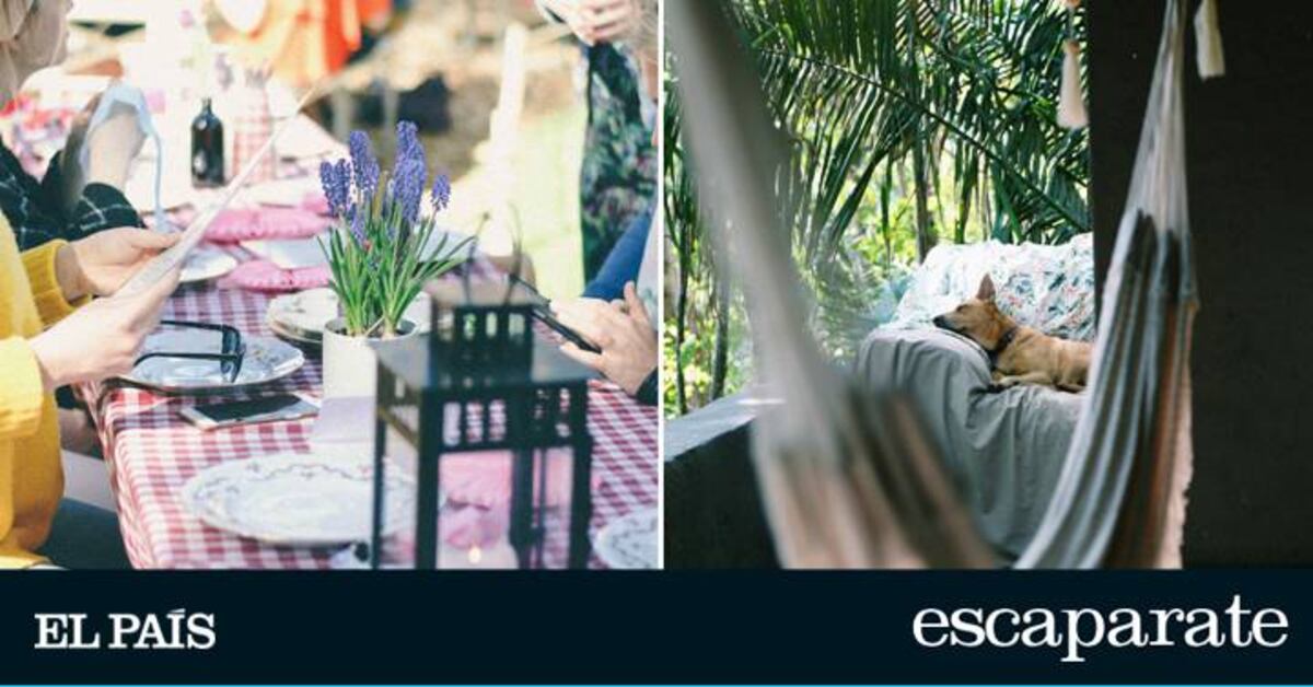 Las mejores ofertas en toldos y otros artículos para poner a punto tu terraza y jardín | Escaparate: compras y ofertas