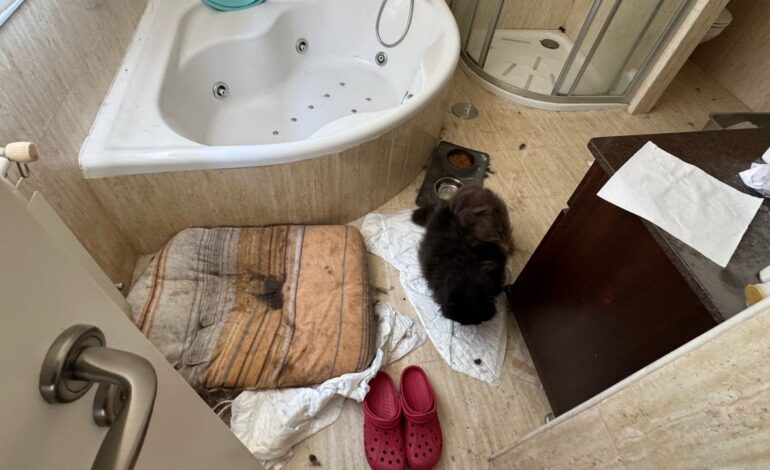Las desgarradoras imágenes del interior de la casa en la que vivían los tres niños en un chalet de Oviedo