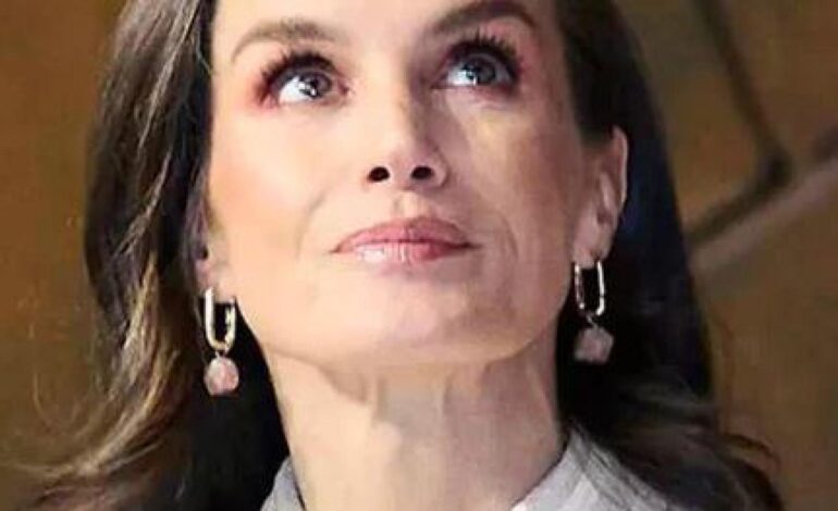 la Reina Letizia las ha lucido en dos ocasiones