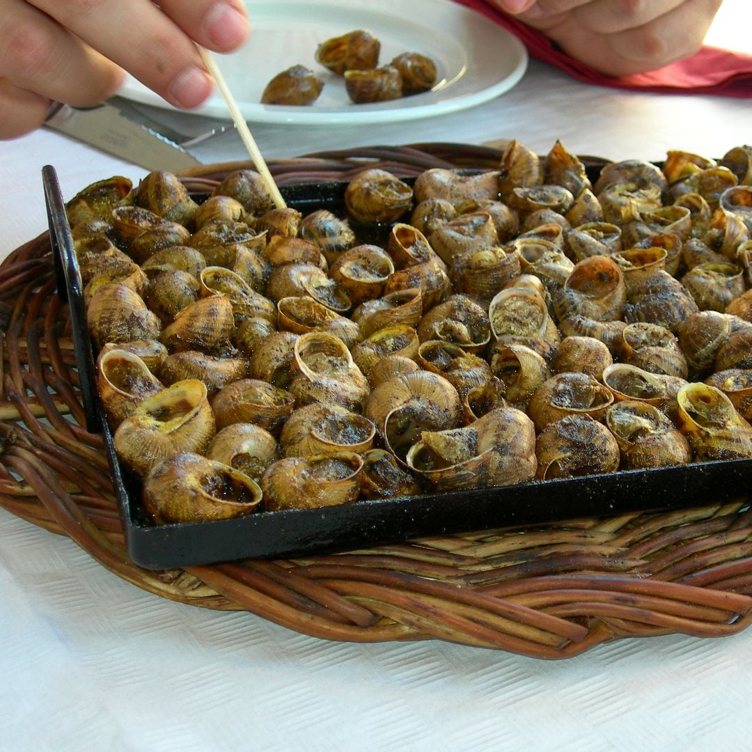 Caracoles