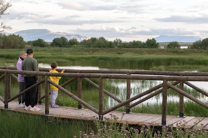 Una sección de la carretera Las Albinas, que cruza el humedal del cruce, en la Reserva Natural de Fuente Laguna.
