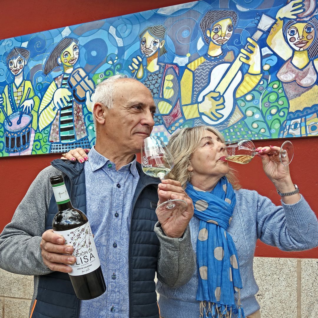 Adega Doña Elisa en Santo André de Camporredondo, o Ribeiro, Orosen