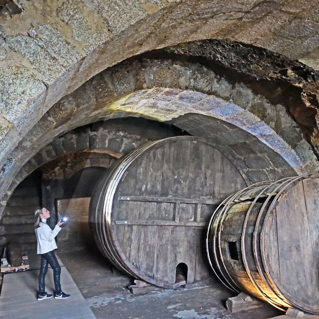 Museo del Vino de Galicia, o Ribeiro, Ourense