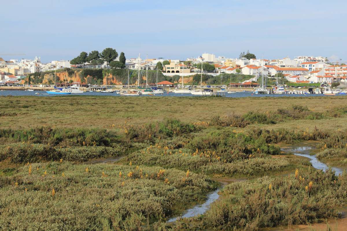 Alvor