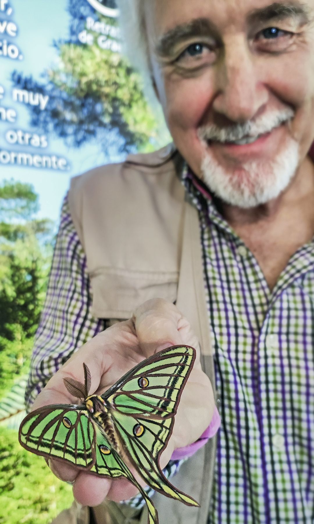 Pedro Velasco, director de Insectpark, con una Mariposa Graellsia, la más bella de España, en sus manos.