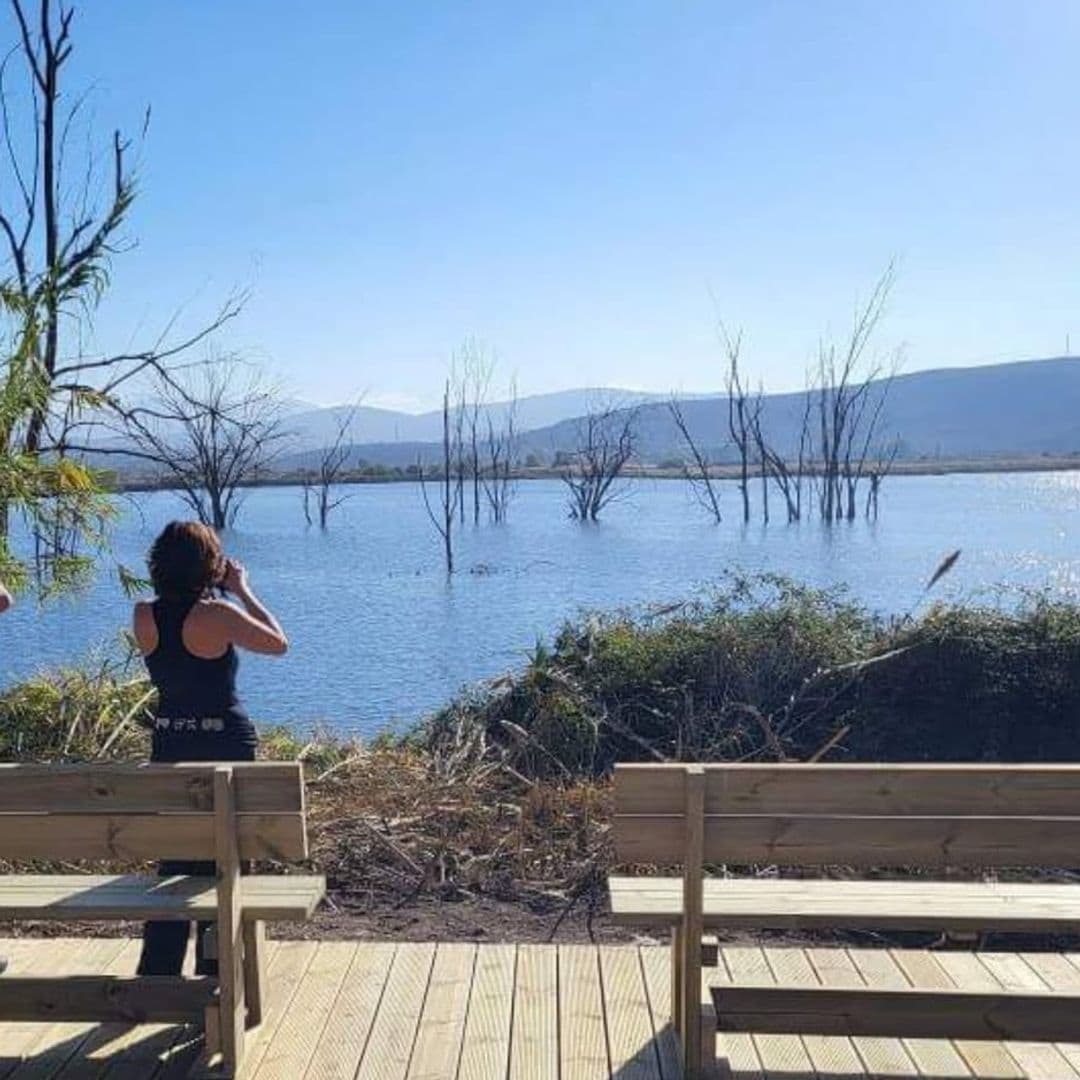 Padul Lagoon, Granada