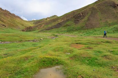 No todo está desierto; Este verde es Yolyn AM.