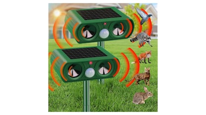 Animal Ahuentor con ultrasonido.