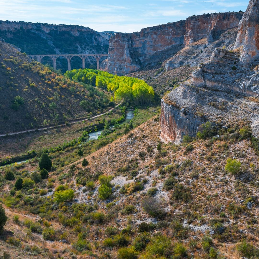 RIAZA RIOM HONAS, SEGOVIA