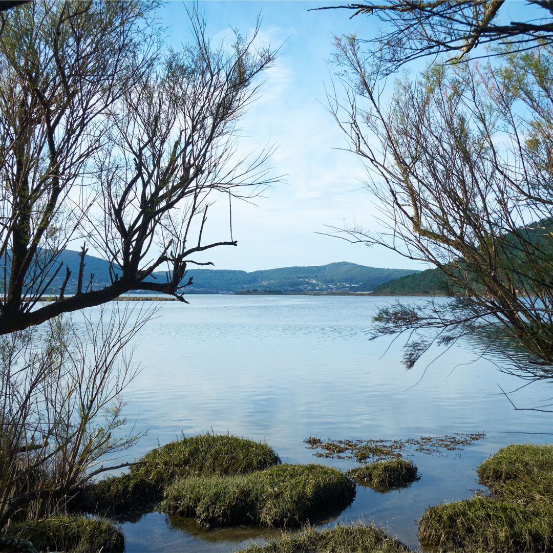 Camiño Ribeira, lijado, una coruña