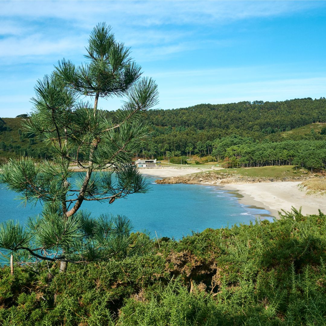 Ballarés Beach, lijada, una coruña