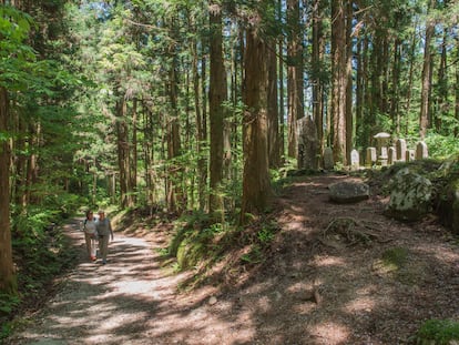 Senderos en el camino de Nakasendo.