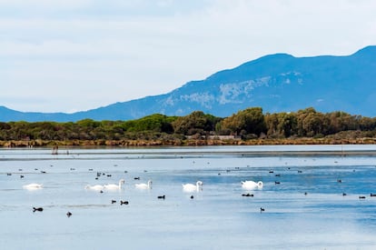 El paisaje del lago Burano, en Maremma (Italia).
