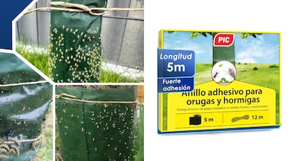 Pino Processionare Caterpillars para montar hasta 11 árboles diferentes.