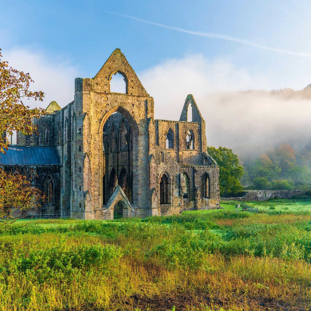 Ruinas de Tintern Cistercien Abbey, Gales