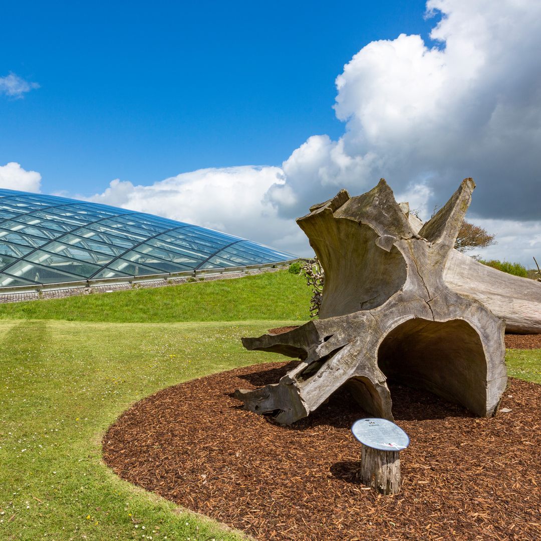 El gran invernadero del Jardín Botánico Nacional de Gales, en Llanarthne, Carmarthenshire