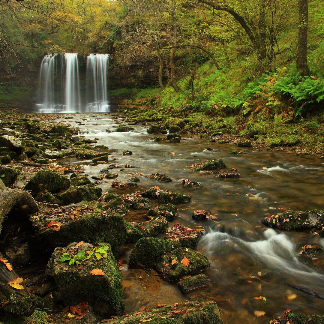 SGWD YR EIRA Cascade, país ganador