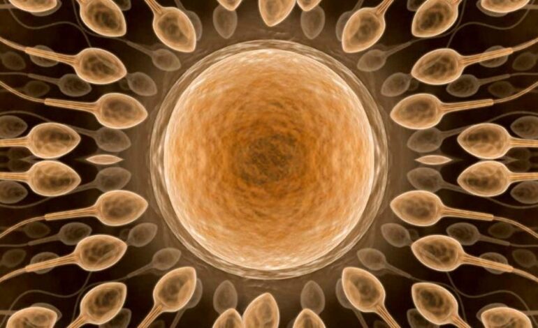 Utilizan el esperma de un hombre con una rara mutación de cáncer para concebir 67 niños en Europa: diez sufren la enfermedad