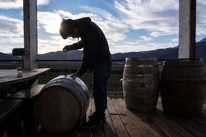 Uno de los trabajadores en la bodega Anatolia, en el valle de Guadalupe (Baja California).