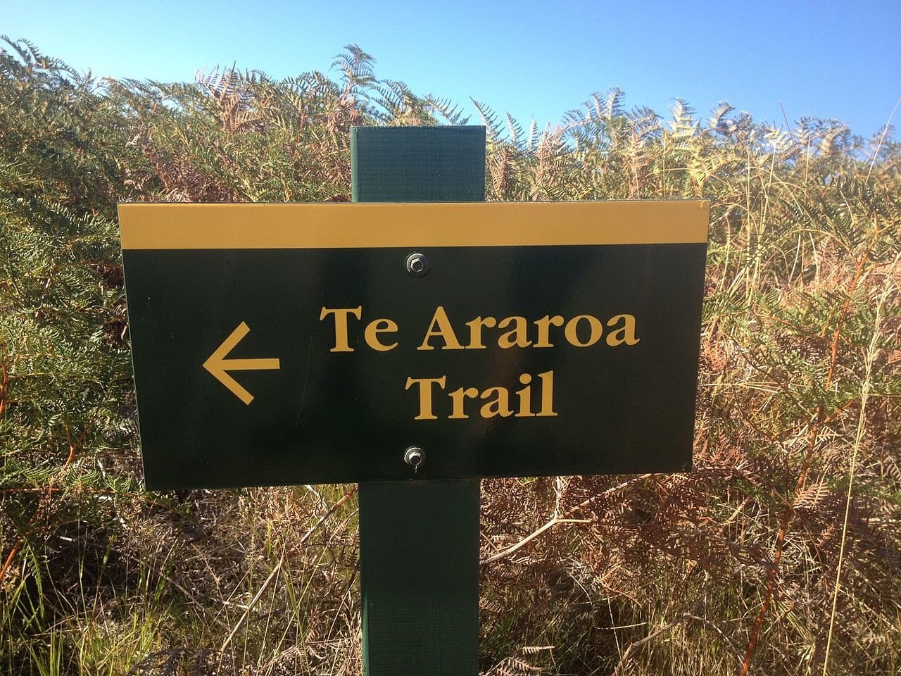 Tu araoa