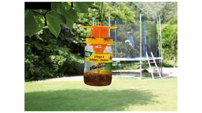 Trampa de avispas al aire libre.