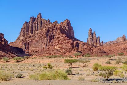 Wadi Qaraqir, en Arabia Saudita.