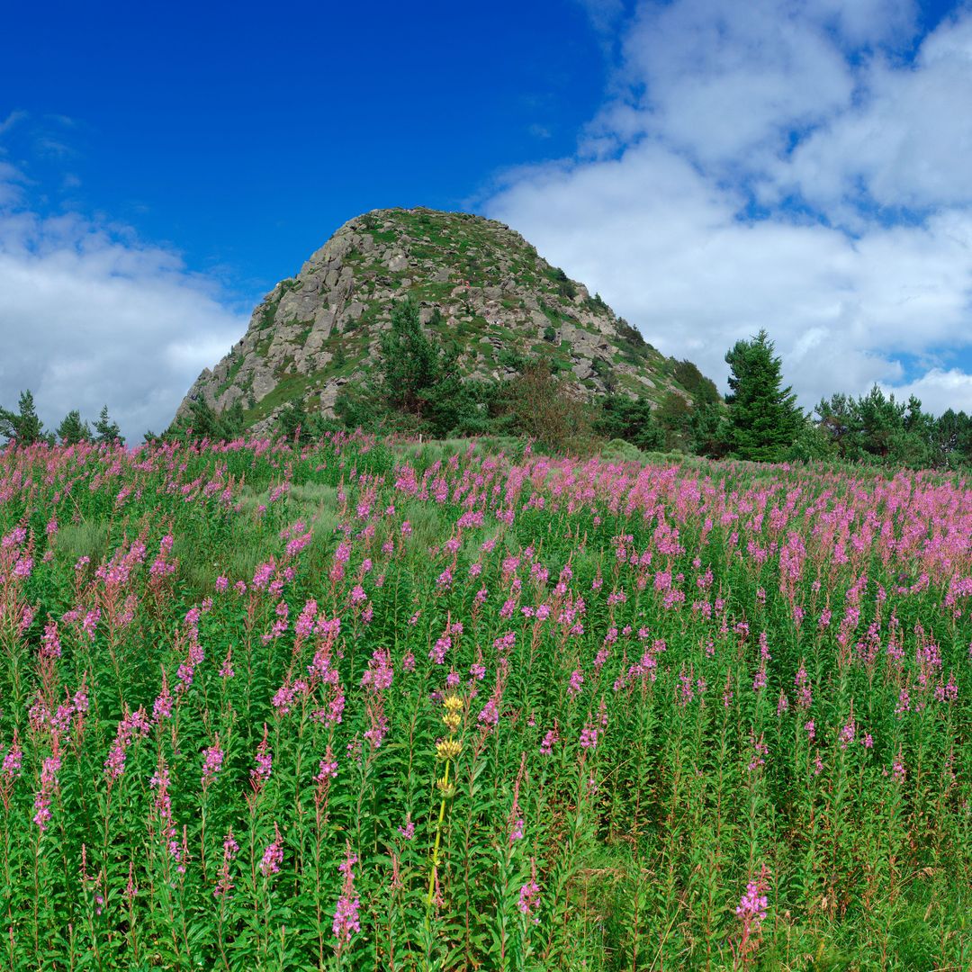 Monte Gerbier de Jonc, donde nació el río Loira, Francia
