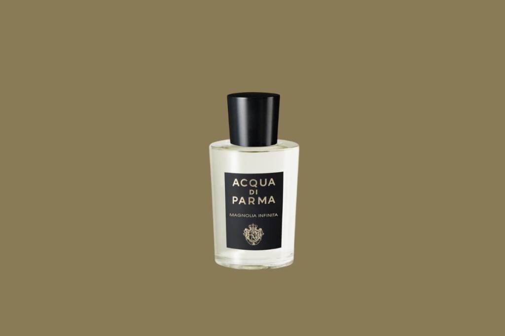 armadura de perfume