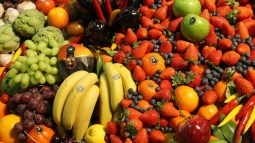 Dieta