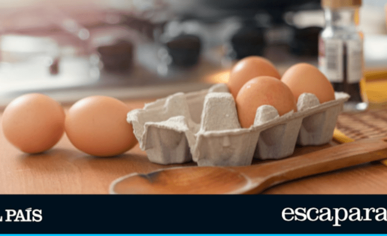 Ni en cartón ni fuera de la nevera: esta es la mejor manera de guardar los huevos en la cocina | Estilo de vida | Escaparate
