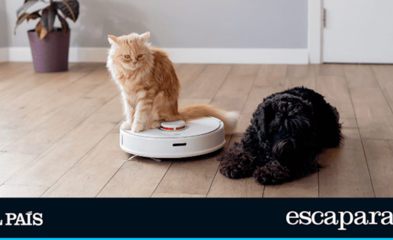 Amazon da un vuelco a su robot aspirador de 299 euros con una gran rebaja: ahora cuesta 89 euros y poco va a durar | Estilo de vida | Escaparate