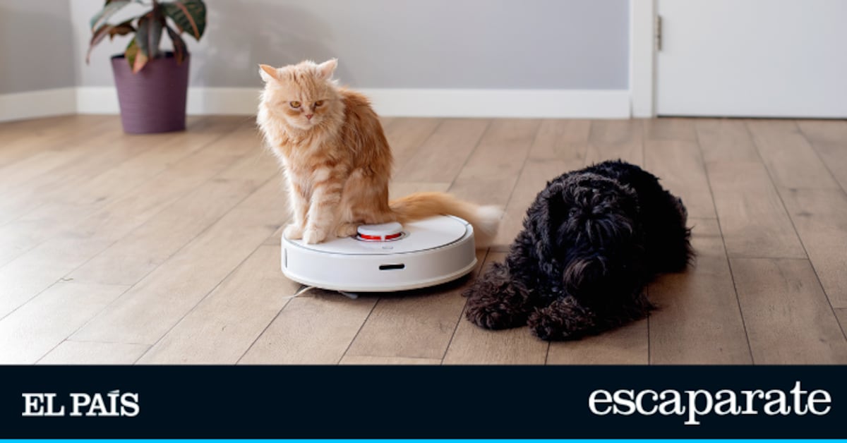 Amazon da un vuelco a su robot aspirador de 299 euros con una gran rebaja: ahora cuesta 89 euros y poco va a durar | Estilo de vida | Escaparate