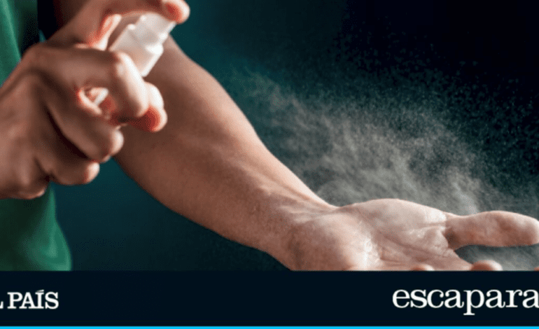Adiós a los mosquitos en casa este verano con estos productos naturales de Amazon | Estilo de vida | Escaparate